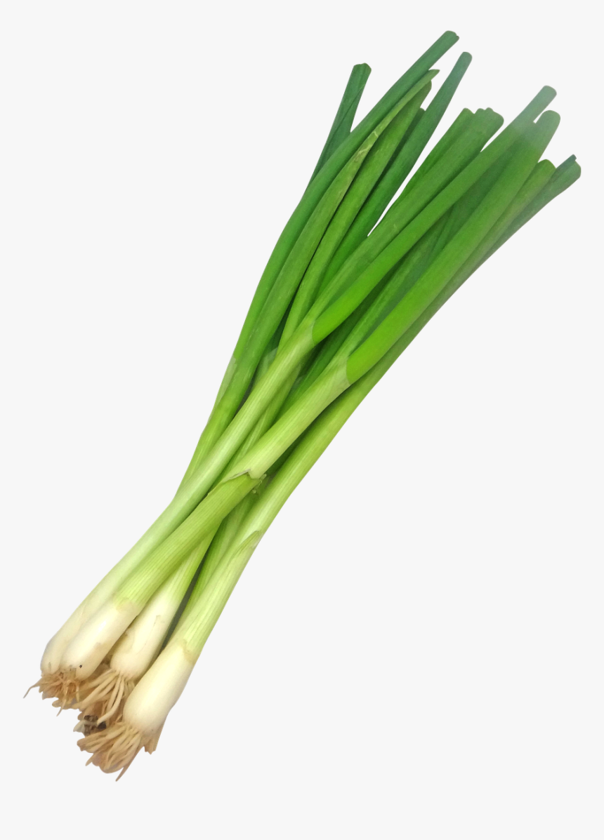 Scallion Scallions Ramp Free Picture - Spring Onion Transparent, HD Png Download