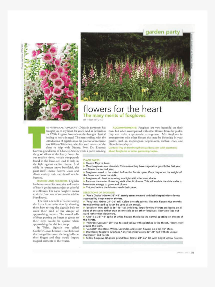 Garden Designer Fox Gloves - Orchid, HD Png Download