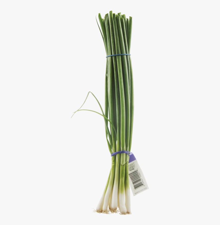 Clip Art Fresh Bunch Prestofresh Grocery - 1 Bunch Green Onions, HD Png Download