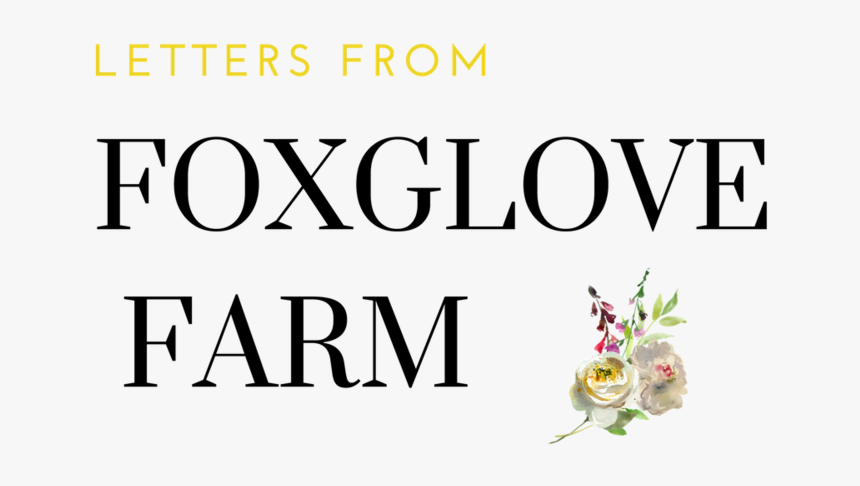 Foxglove Farm Logo Header Version 2, HD Png Download