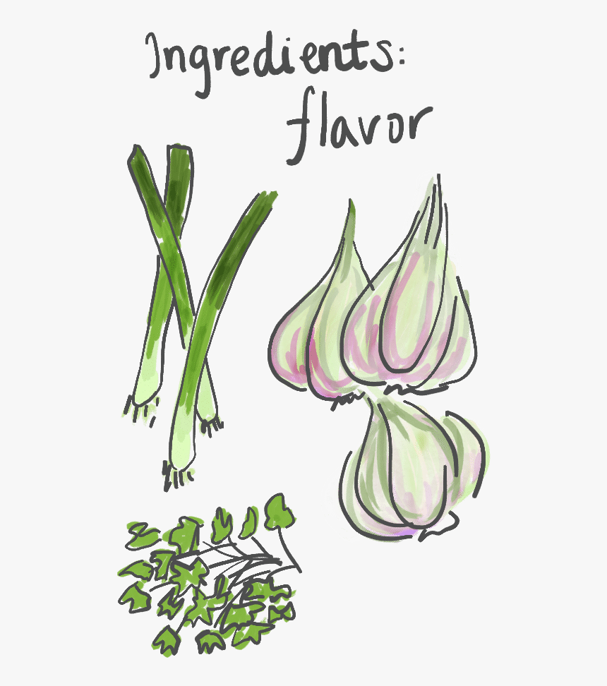 Transparent Green Onion Png - Green Onion Draw, Png Download