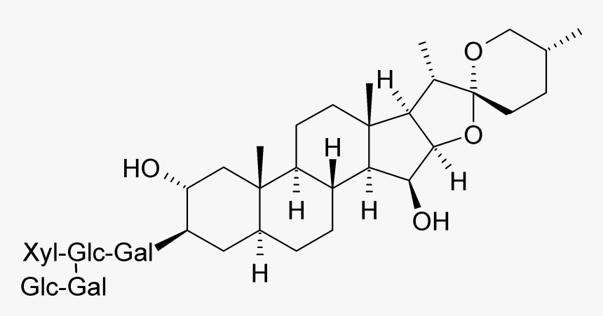 Digitonin - Digitonin Structure, HD Png Download