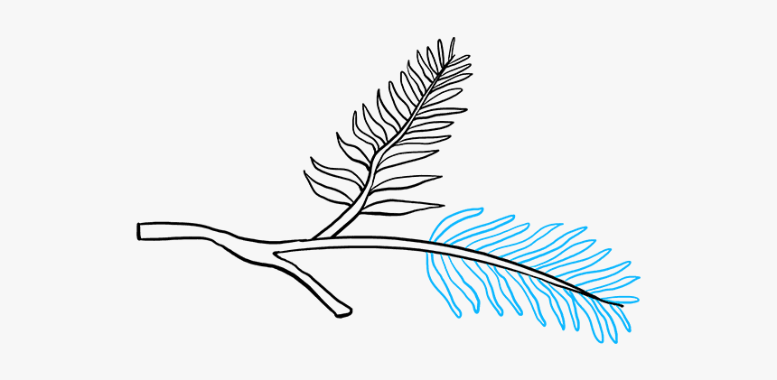 How To Draw Pinecone - Drawing Of Pine Cones, HD Png Download