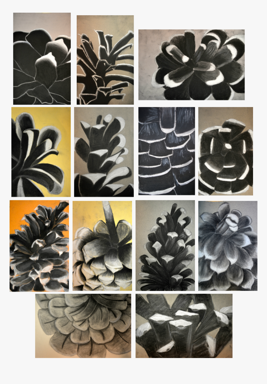 Home Pinecones By, HD Png Download