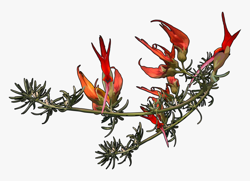 Pico Paloma Planta, HD Png Download