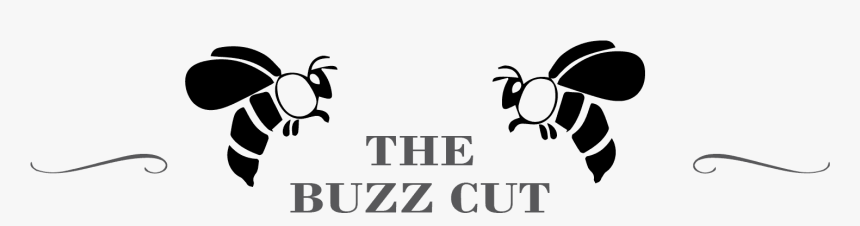 Burberry, HD Png Download