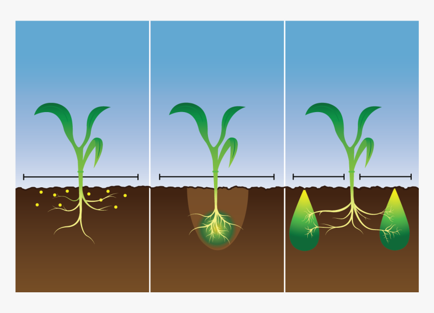 Tractor In Field For Bio Fertilizer - Floral Design, HD Png Download