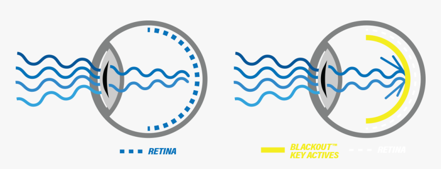 This Blue Light Blocking - Circle, HD Png Download