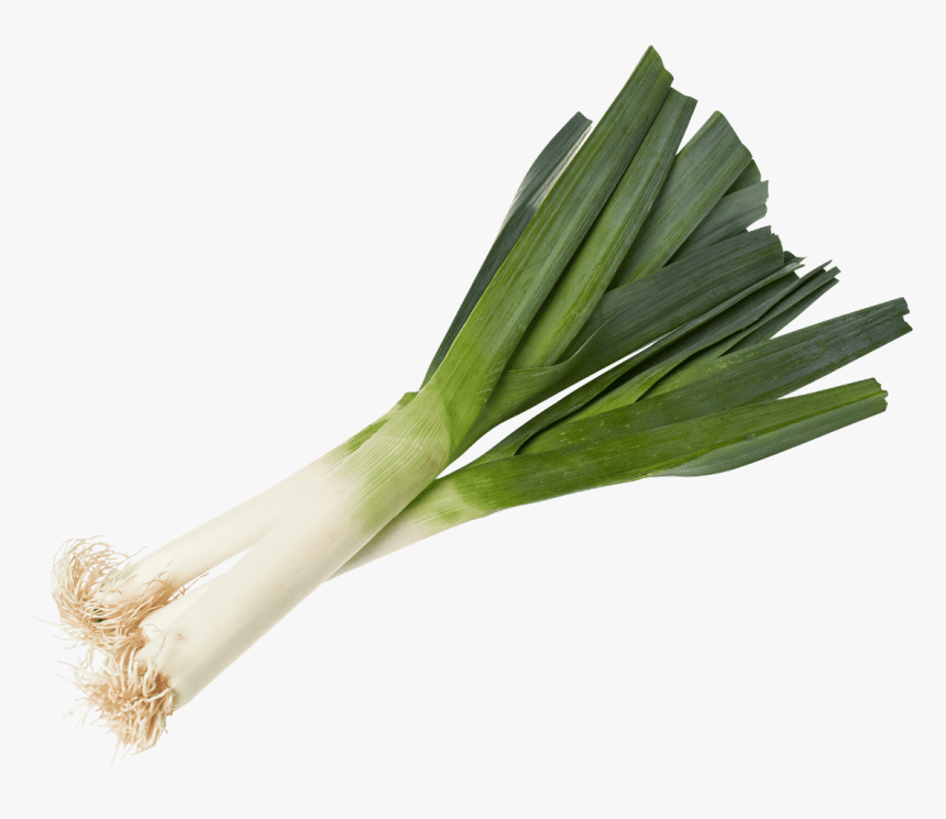 Leek Png, Transparent Png