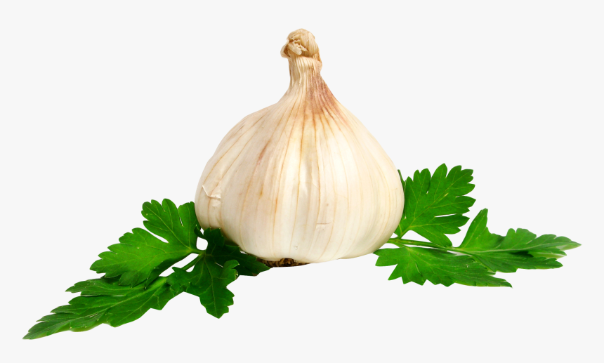 Garlic Png Image, Transparent Png