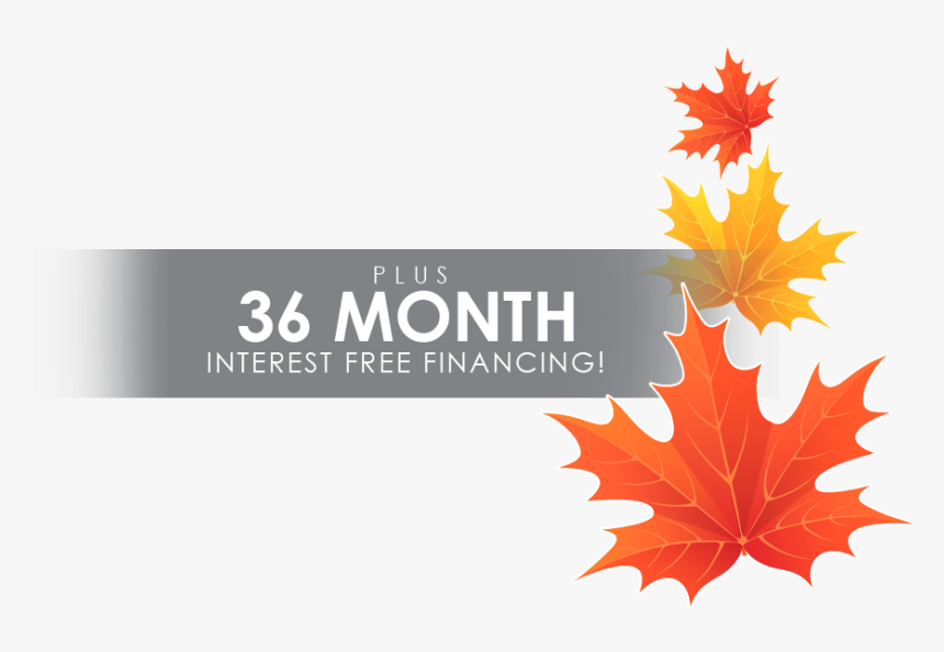 Clipart Transparent Background Maple Leaf, HD Png Download