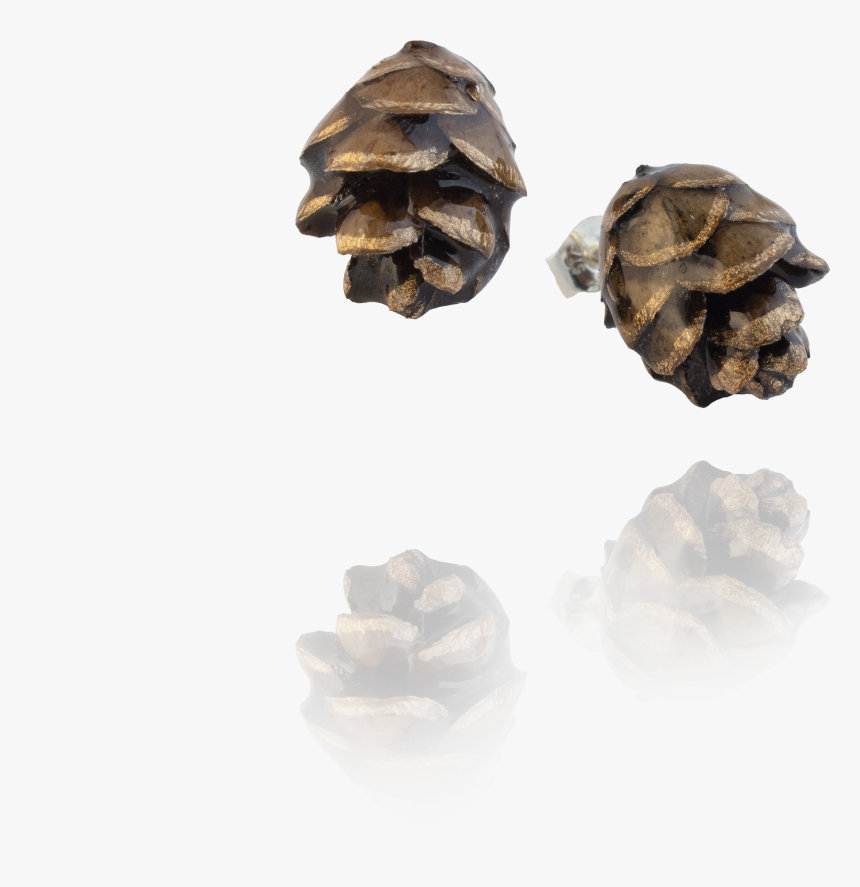 Transparent Pinecones Png - Western Yellow Pine, Png Download