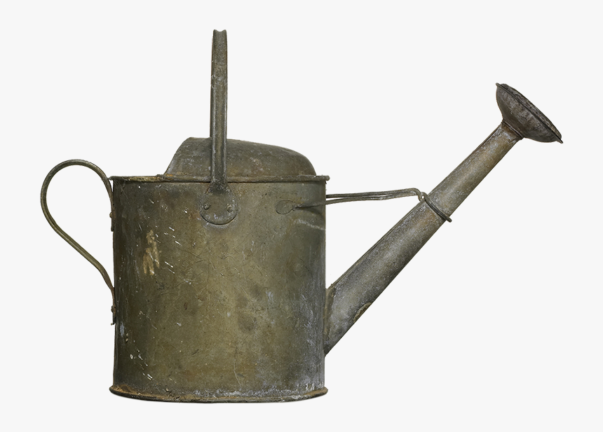 Foxglove Png, Transparent Png