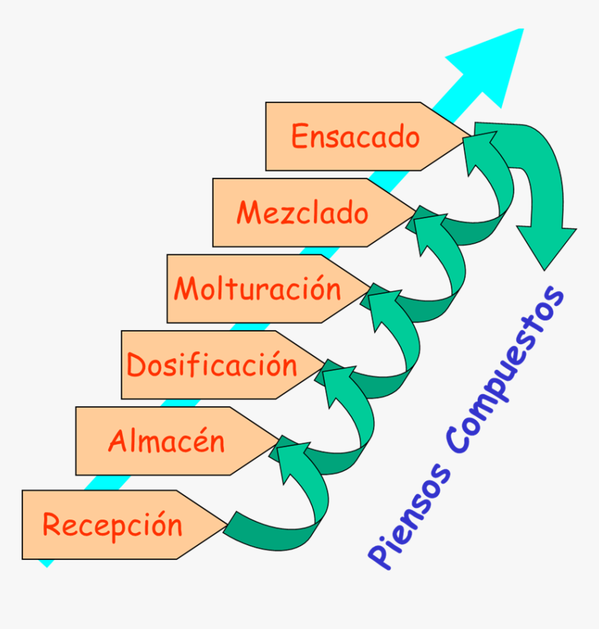 Principales Pasos A Seguir - Parallel, HD Png Download
