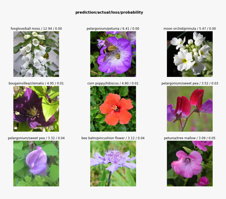 Png - Balloon Flower, Transparent Png