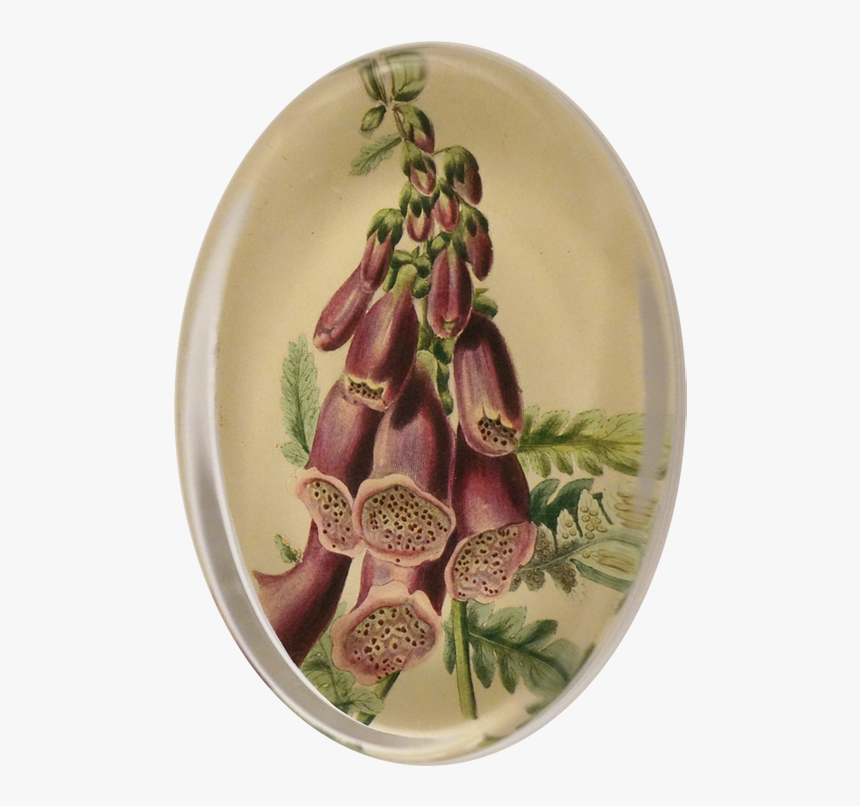 Ceramic, HD Png Download