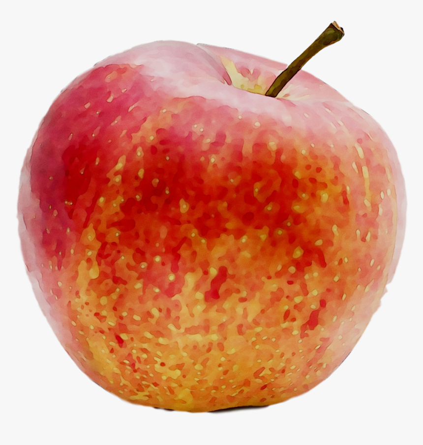 Apples Accessory Fruit Food - Apple, HD Png Download