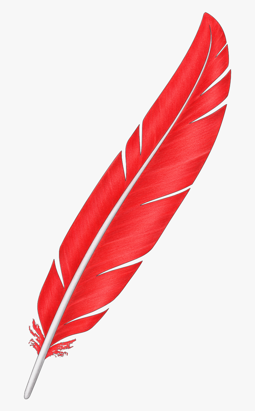 File - Sulkas - Lions Suomi 100, HD Png Download