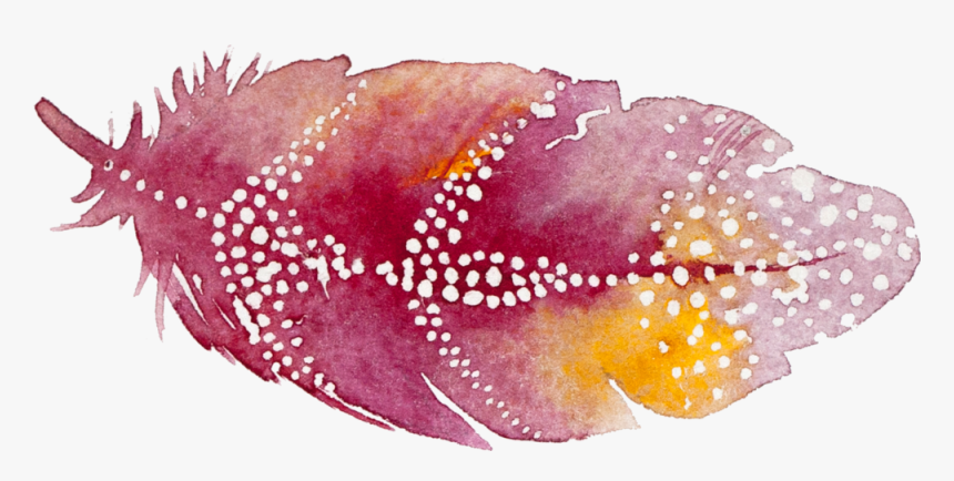 Feather , Png Download - Visual Arts, Transparent Png