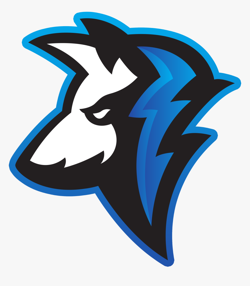 Логотип для команды киберспорт. Красивые логотипы команд. Логотипы команд киберспорта. Создание логотипа команды. Создание логотипа команды.