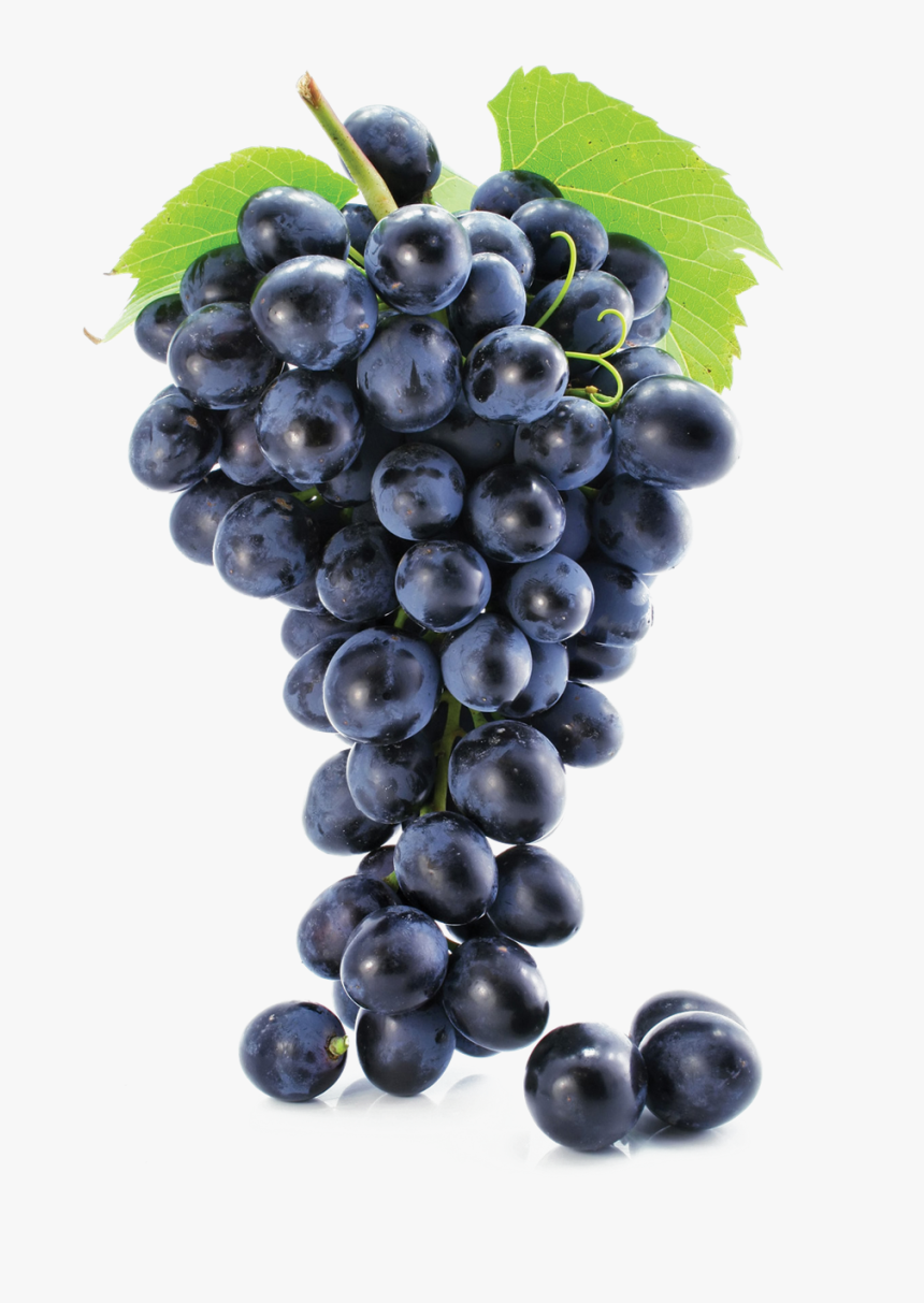 Grapes Free Png - Grapes Png, Transparent Png