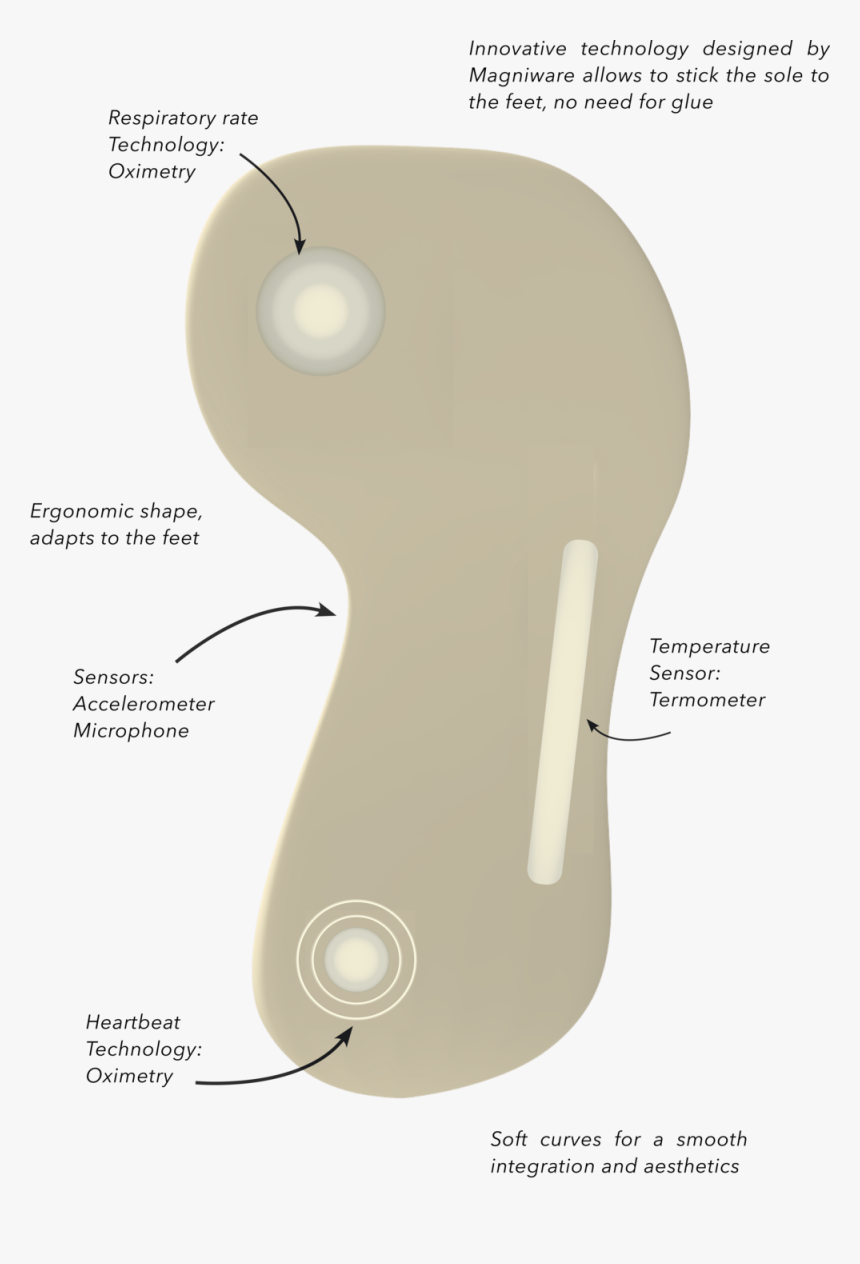 Features - Mouse, HD Png Download