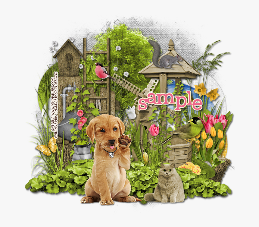 Companion Dog, HD Png Download