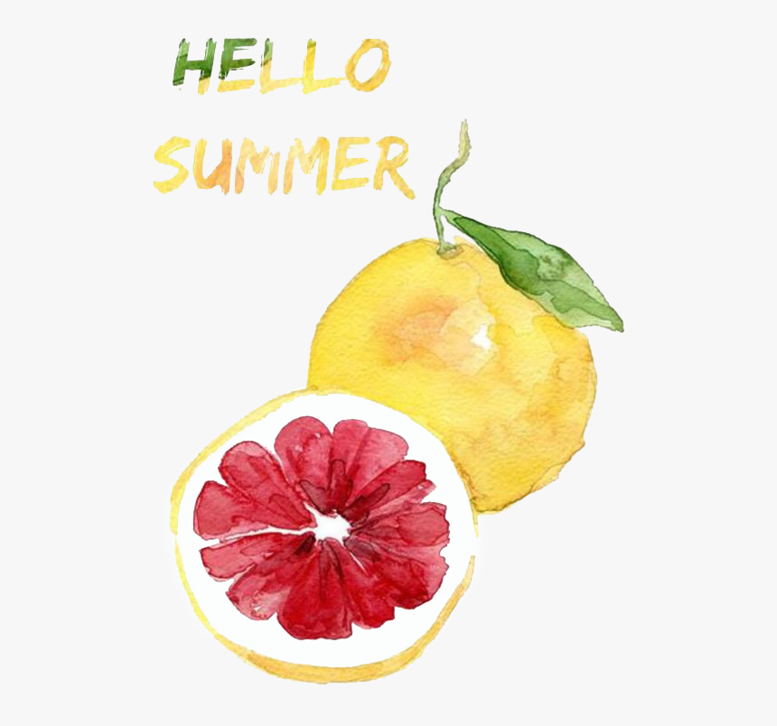 Pintar Frutas Citricas, HD Png Download