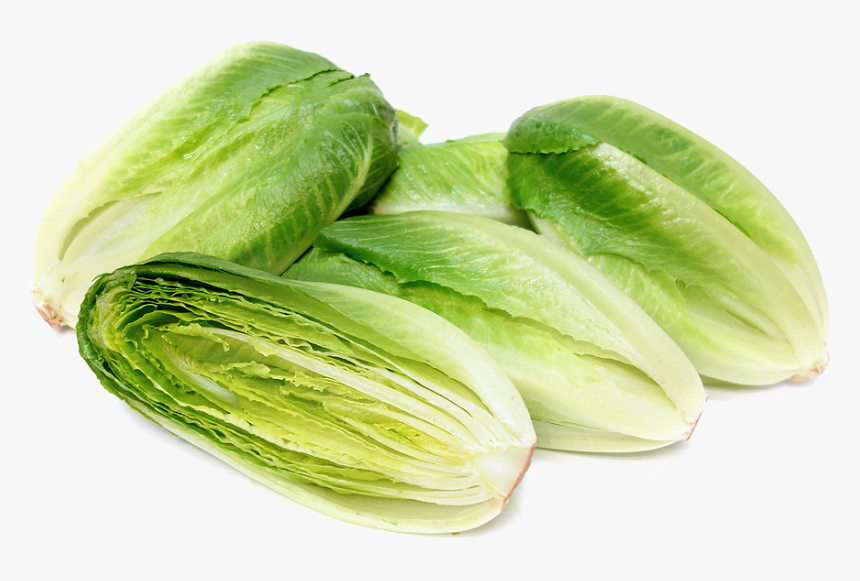 Romaine Lettuce Png Photo - Romaine Cos Lettuce, Transparent Png