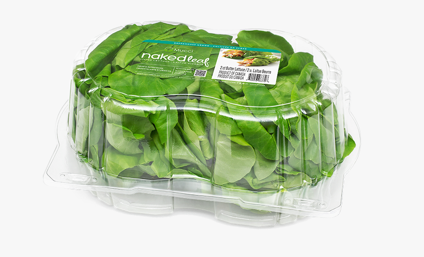 Butter Clam 2ct New - Spinach, HD Png Download