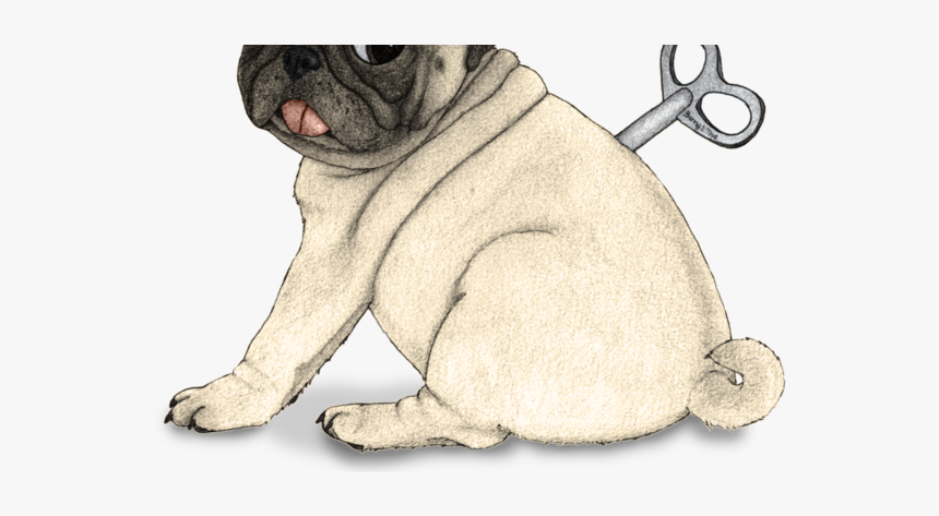 Thumb Image - Dibujo Pug Png, Transparent Png