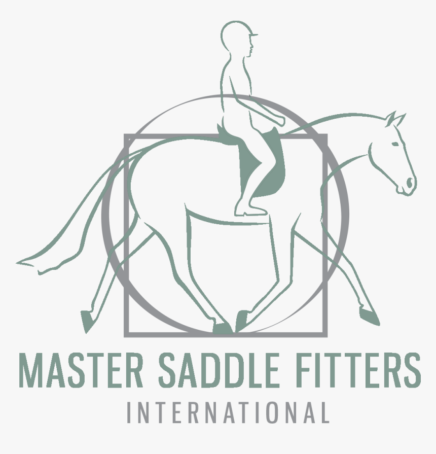 Master Saddle Fitters International, HD Png Download