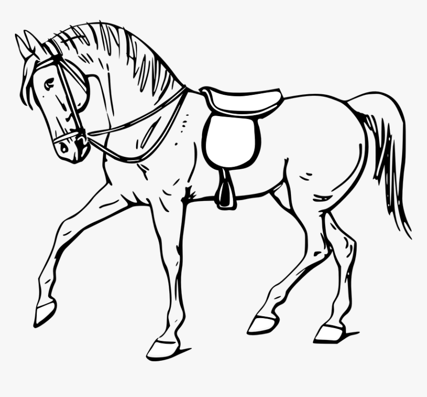 Outline Images Of Horse, HD Png Download