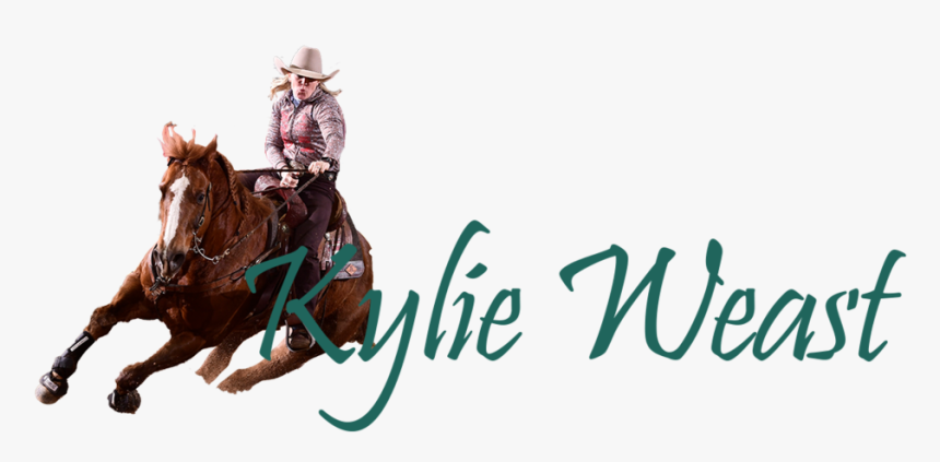 Kylie Logo Smaller3 - Equitation, HD Png Download