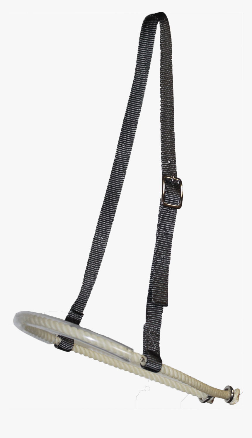 Strap, HD Png Download