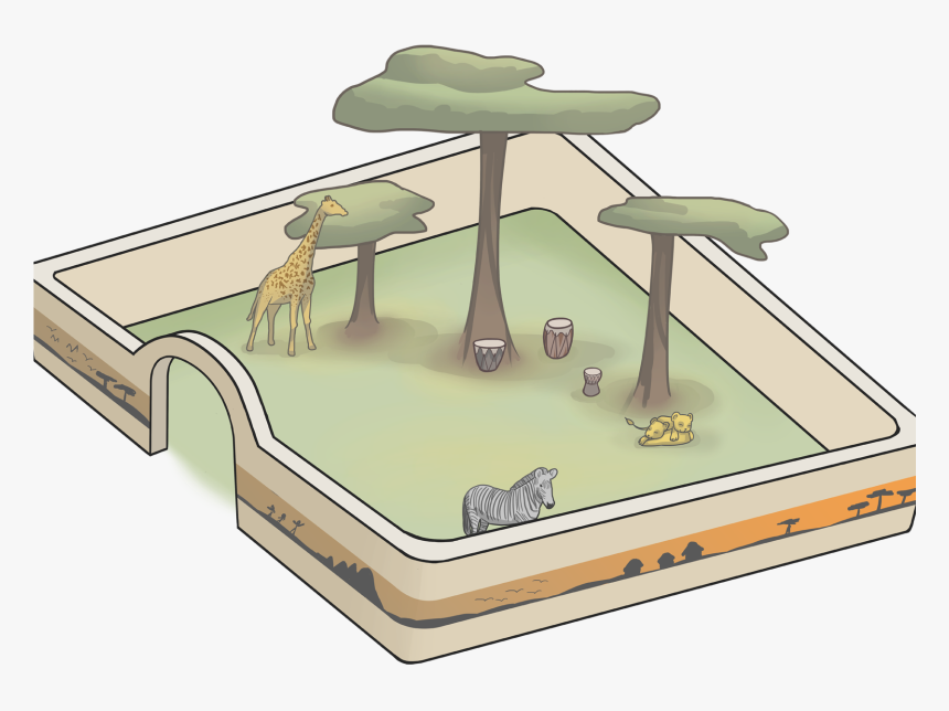 Cartoon, HD Png Download