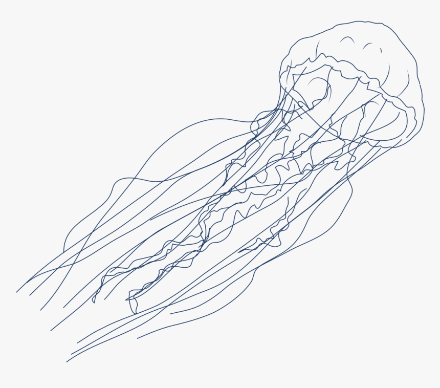 Sketch, HD Png Download