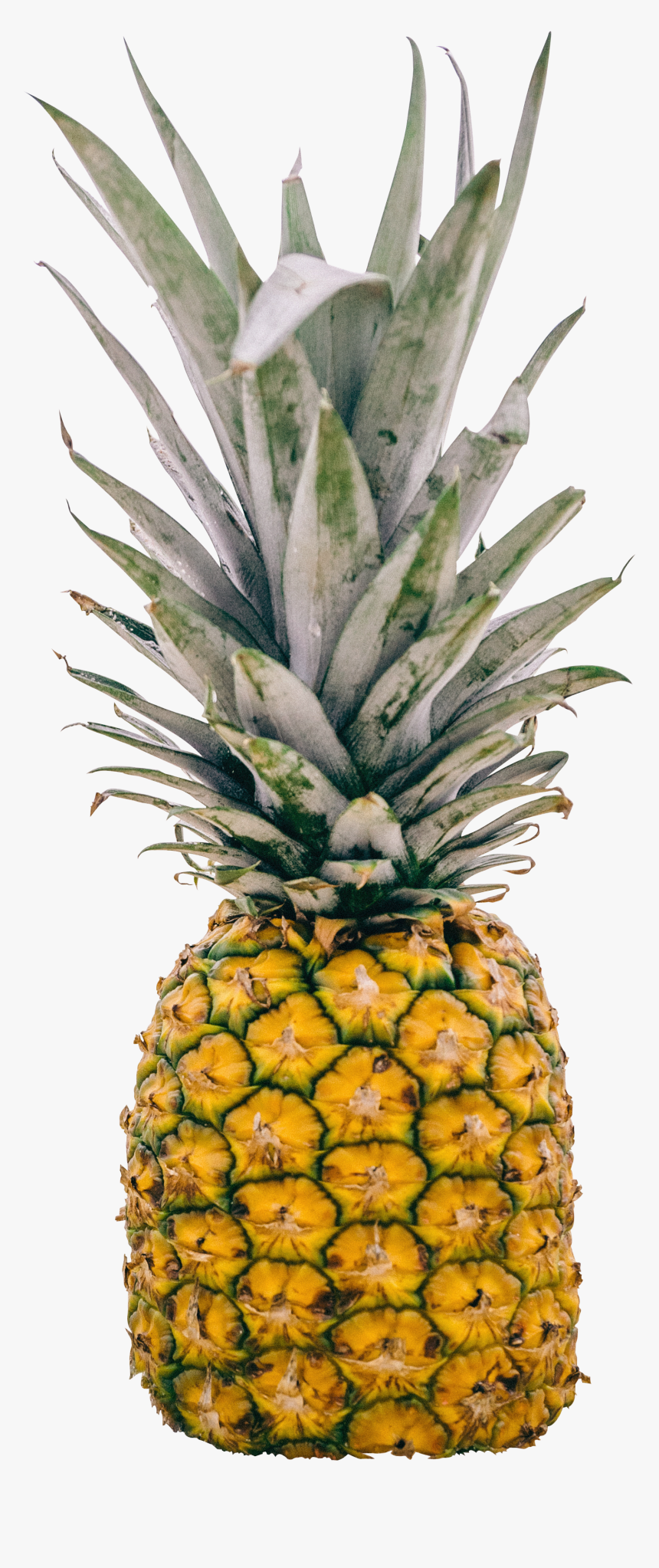 Deep Pineapple Quotes, HD Png Download