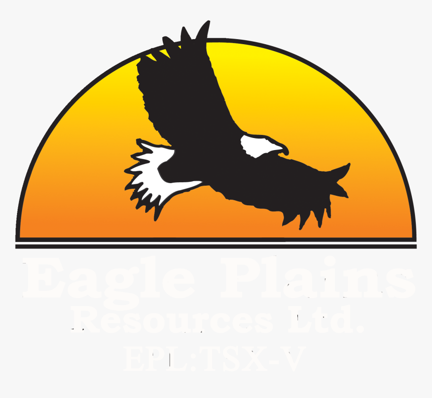 Golden Eagle, HD Png Download