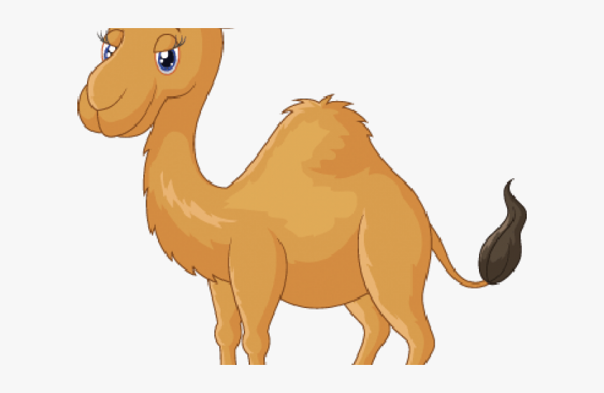 Clipart Camel Cartoon, HD Png Download