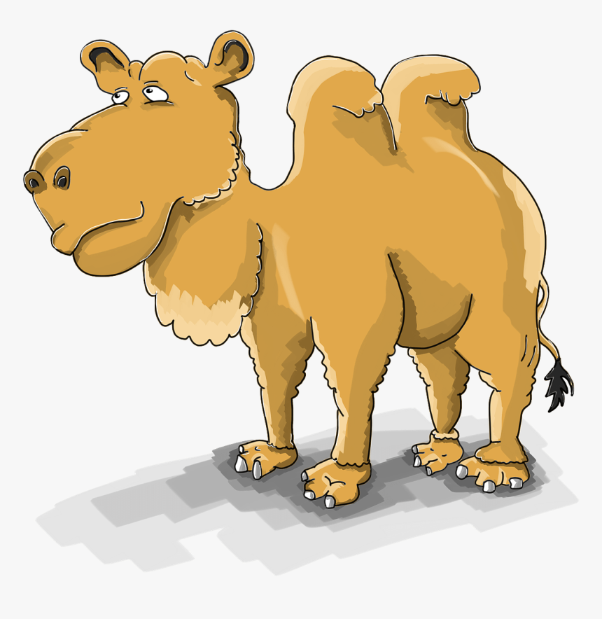 อูฐ การ์ตูน Png, Transparent Png