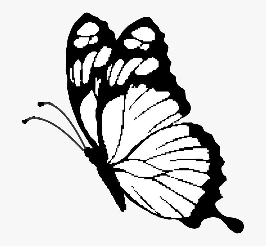 Brush-footed Butterfly Clipart , Png Download - Brush-footed Butterfly, Transparent Png