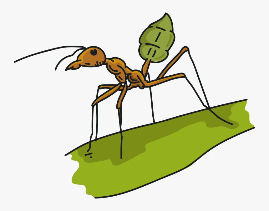 Sauna Clipart Ant, HD Png Download