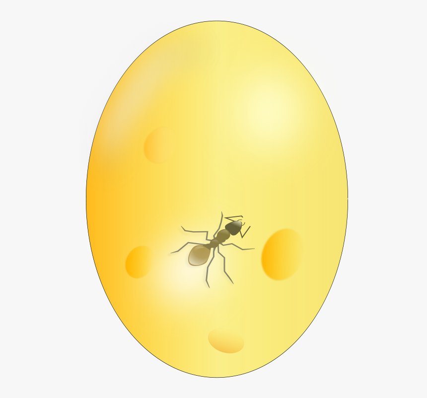 Ant In Amber, HD Png Download