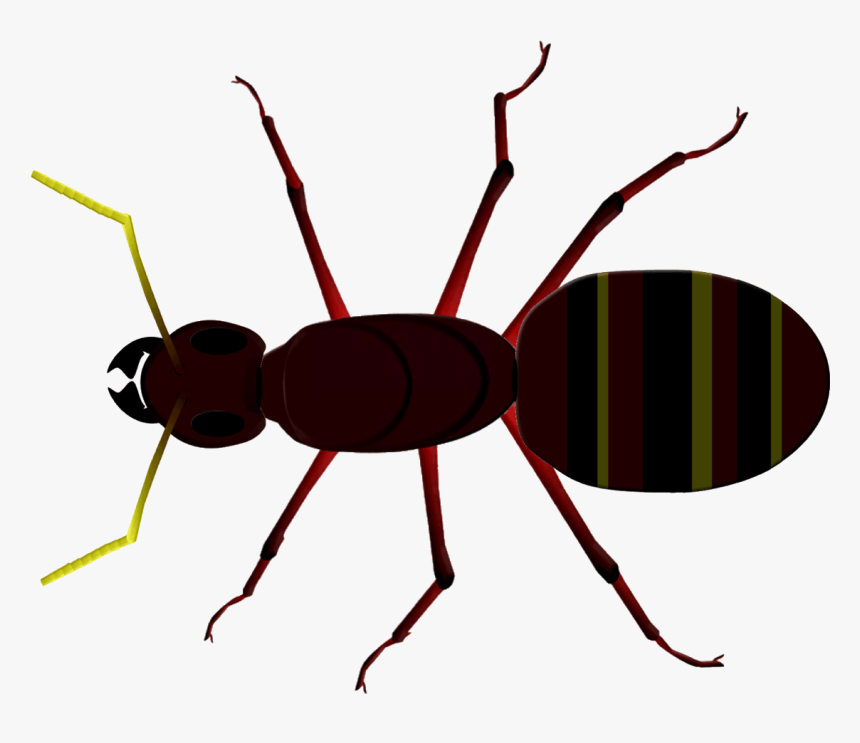 Ant Clipart Tiny Ant - Insect Head Thorax Abdomen, HD Png Download