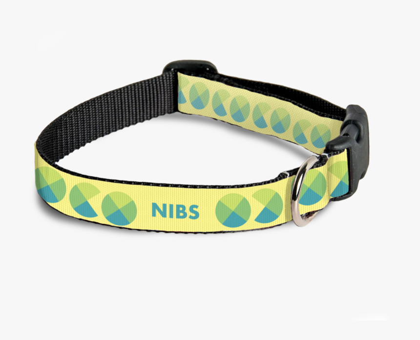 Pet Collars Blue 1, HD Png Download