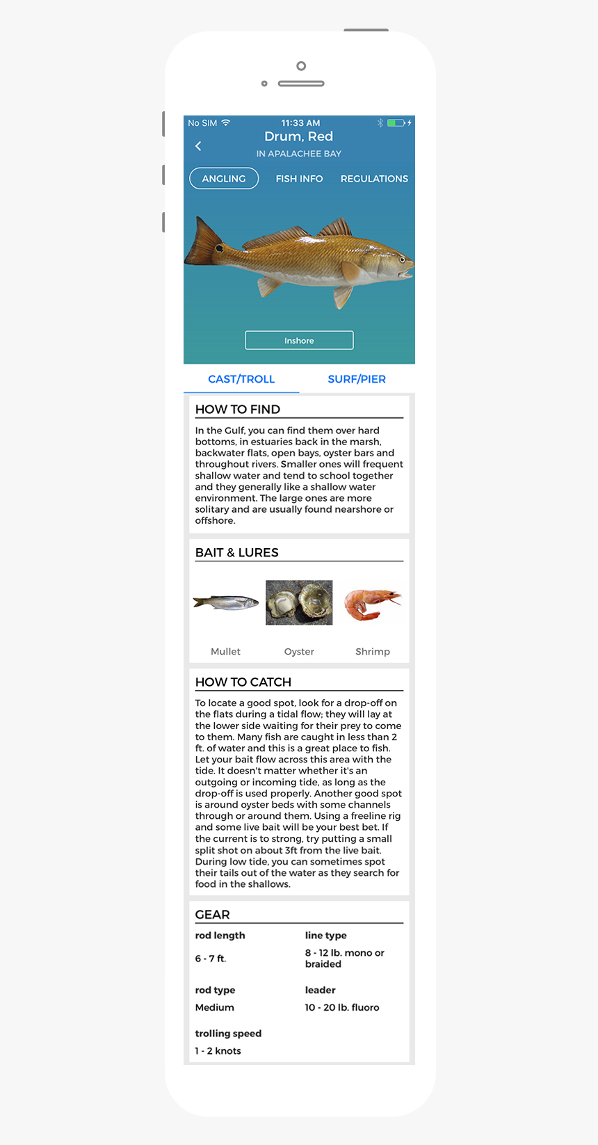 Fish, HD Png Download