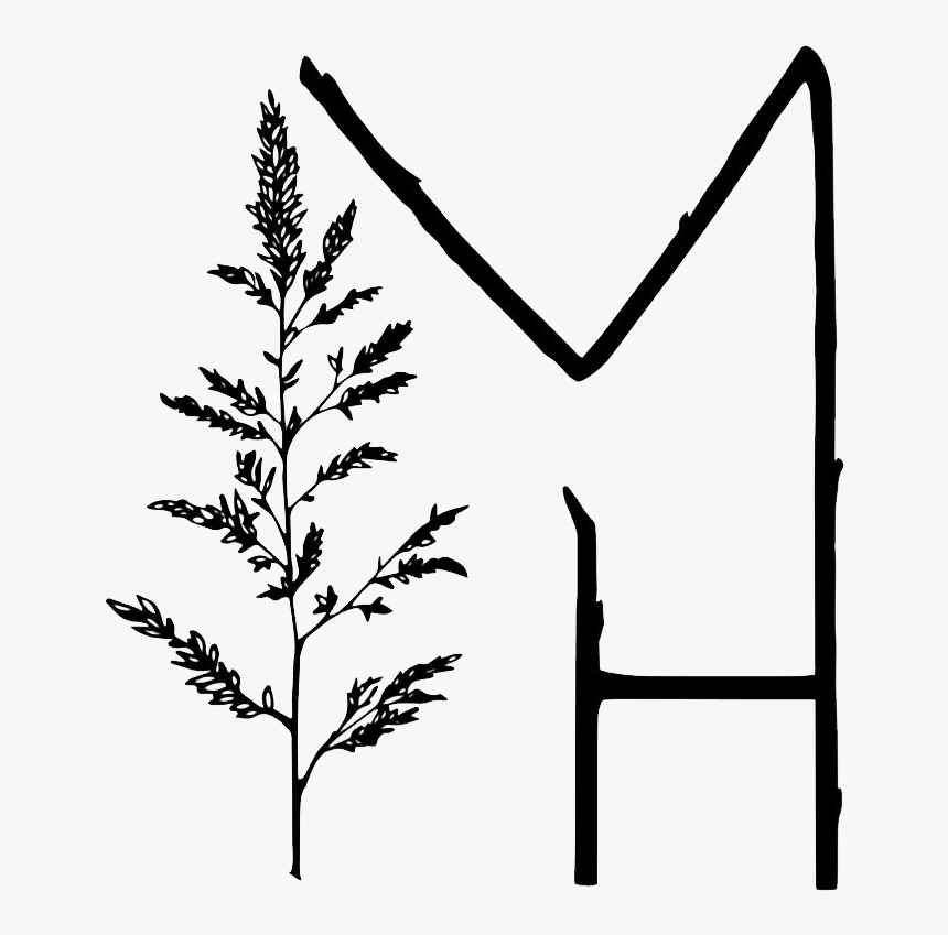 Botanical Illustration, HD Png Download