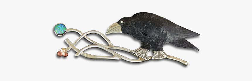 C1-p0163 - Parrot, HD Png Download
