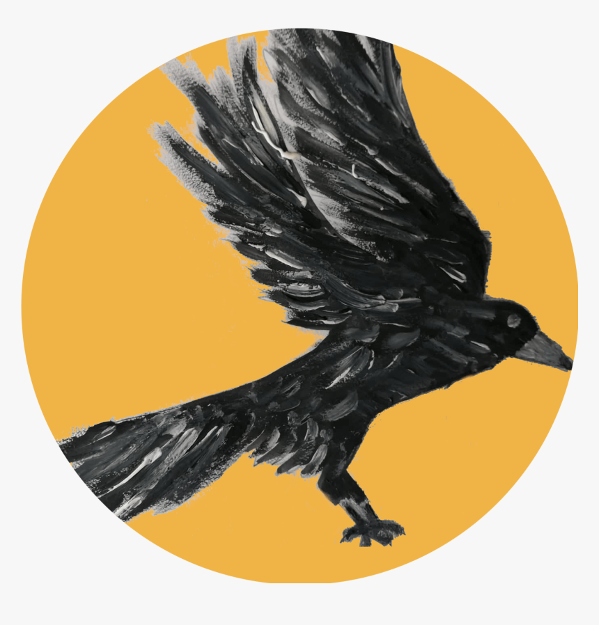 Crow Intelligence - American Crow, HD Png Download